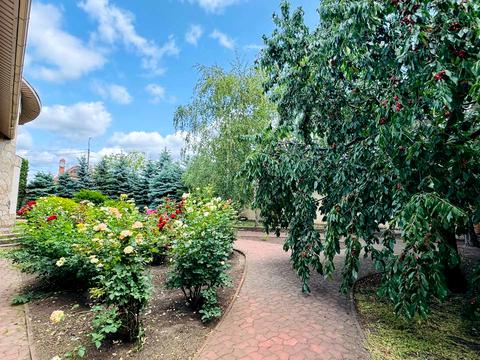 будинок за адресою Петра Калнишевського вул. (Харитонова)