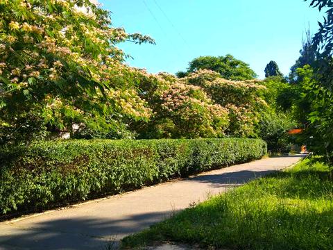 комерційна за адресою Незалежності вул., 17а