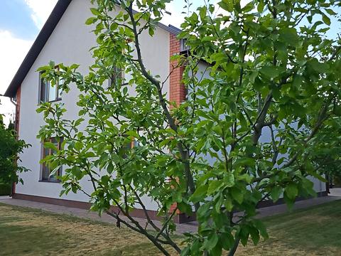 дом по адресу Лісова