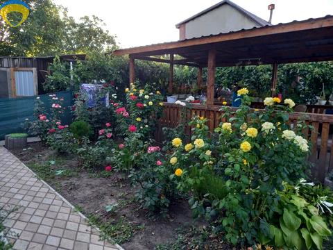 дом по адресу мтс