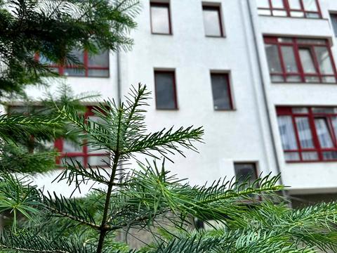 квартира за адресою Галицька вул., 141б