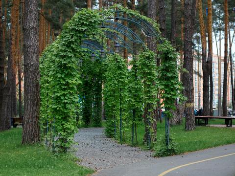 квартира по адресу Университетская ул., 3/7