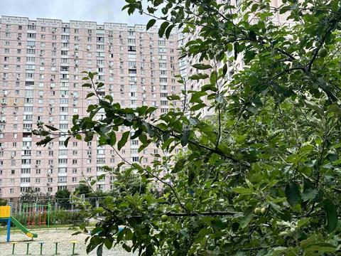 квартира по адресу Олены Пчилки ул., 2-Б