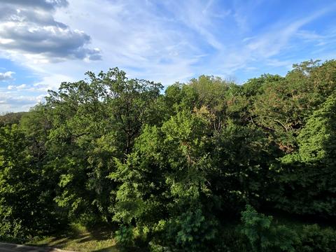 квартира за адресою Професорська вул., 2