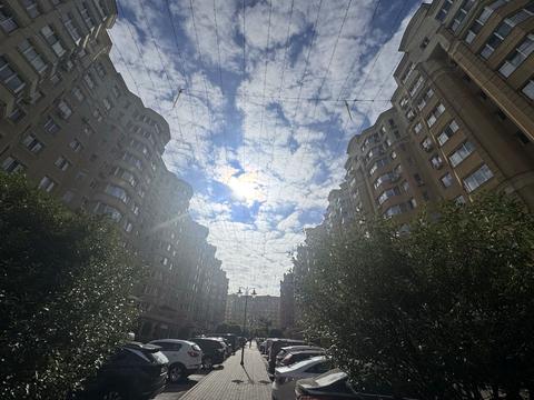 квартира по адресу Житня ул., 9