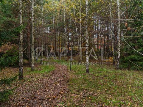 дом по адресу Травнева