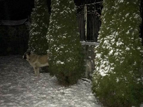 будинок за адресою Незалежності