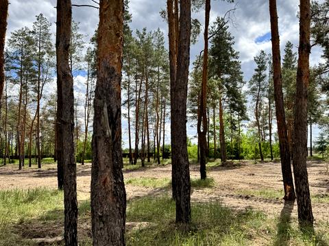 ділянка за адресою с. Піщанка, Зелена