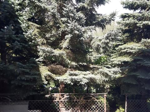 будинок за адресою Нагірна