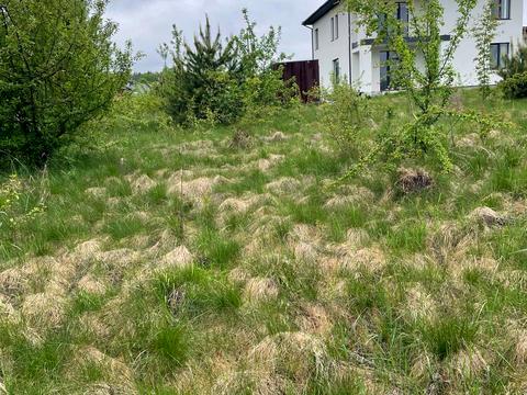 ділянка за адресою Кірпи