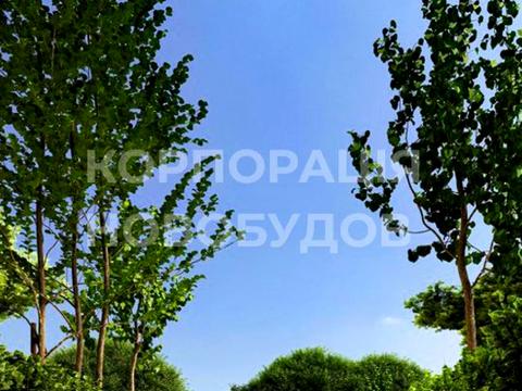 квартира по адресу Парковий, 1