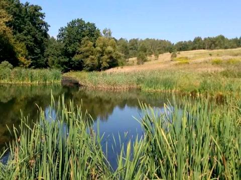 ділянка за адресою Центральна