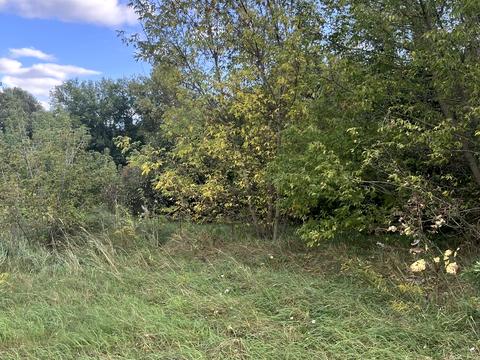 участок по адресу 