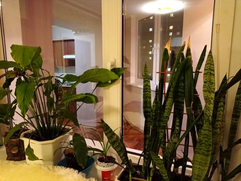 квартира за адресою Ревуцького вул., 18-А