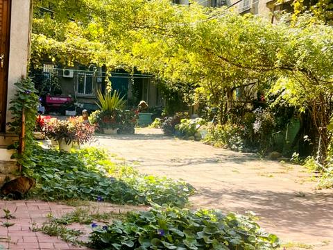 квартира за адресою Мала Арнаутська вул., 5