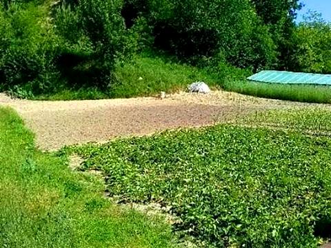 будинок за адресою Суворова вул.