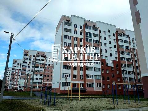 квартира за адресою Козакевича вул., 31