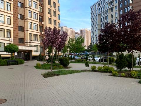 квартира за адресою Київ, Березова вул., 43