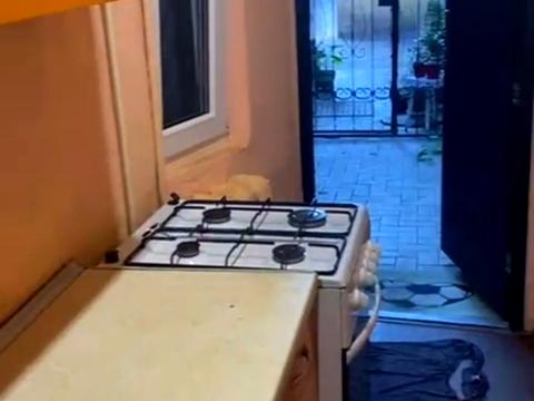 квартира по адресу Нежинская ул., 39