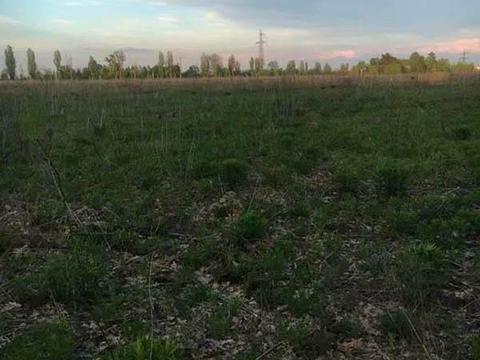 участок по адресу 