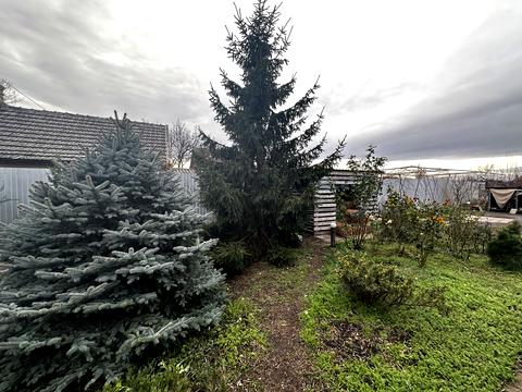 будинок за адресою смт. Овідіополь, Євгена Колісниченка вул.