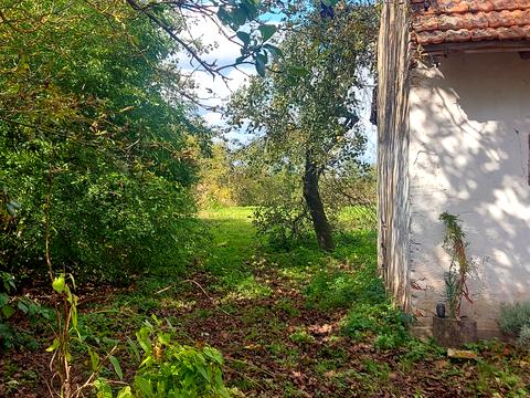 ділянка за адресою річна, 60