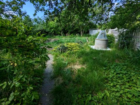 дом по адресу Володимирський пр, 24