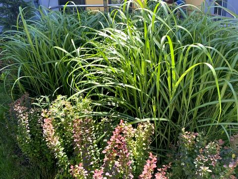 квартира за адресою Марсельська вул., 33в