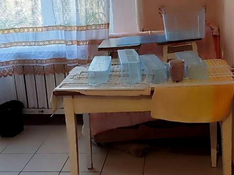 квартира за адресою Генерала Безручка вул., 5