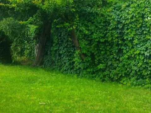 ділянка за адресою Краматорський пров., 6