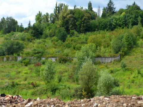 ділянка за адресою Львівське шосе