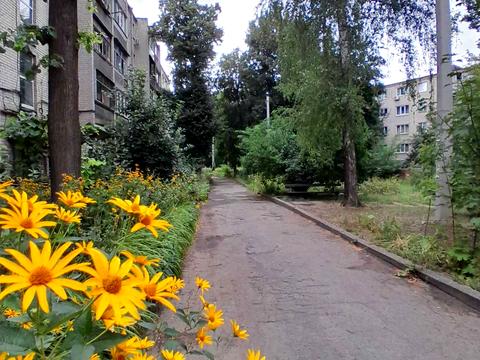 квартира по адресу Криворожская ул., 22Б