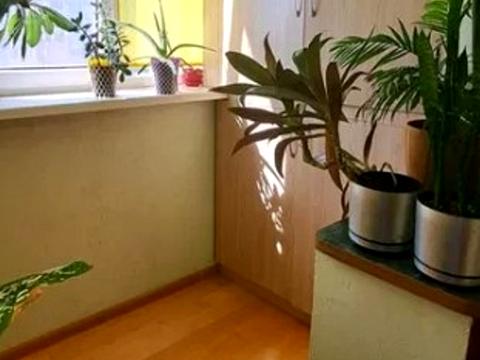 квартира за адресою Північна вул. (Північна), 54-Б