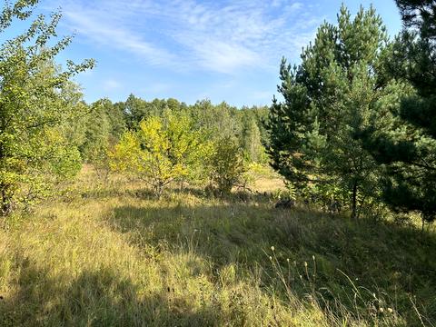 ділянка за адресою 