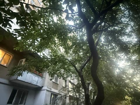 квартира за адресою Старорізнична вул. (Куйбишева), 35