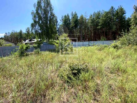 ділянка за адресою с. Пилиповичі, 