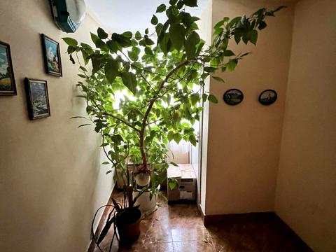 квартира за адресою Івана Величковського вул., 52
