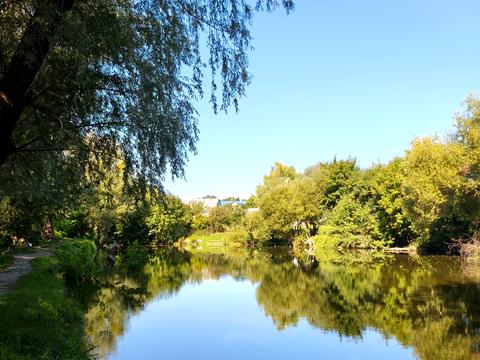 участок по адресу Ставкова, 13