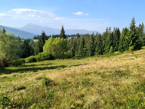 участок по адресу с. Яблоница, 