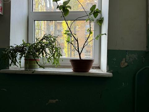 квартира по адресу Академика Вернадского бульв., 61