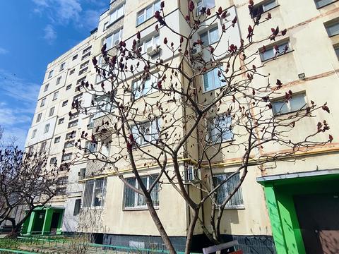 квартира за адресою Зсу, 22