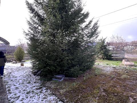 дом по адресу Зузука, 30