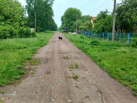 ділянка за адресою Садова, 14