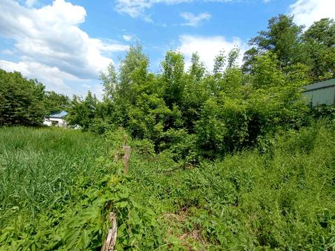 ділянка за адресою Ступки