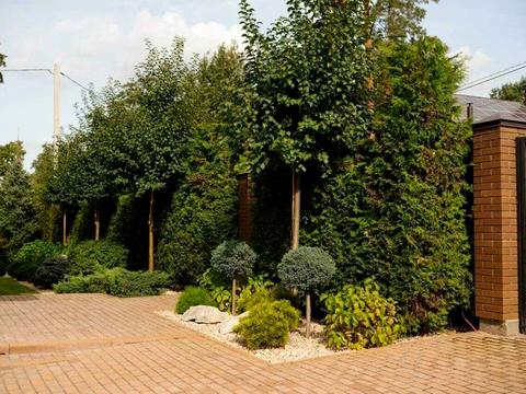 будинок за адресою Шевченка вул