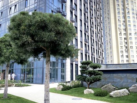 квартира за адресою Академіка Заболотного вул., 1