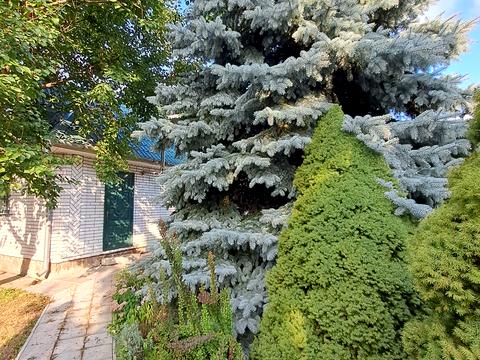 дом по адресу  ул. (Ленина), 3а