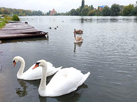 квартира по адресу Андрея Первозванного ул. (Стахурського), 2а