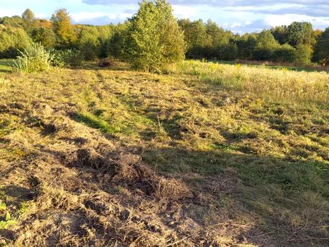 участок по адресу 