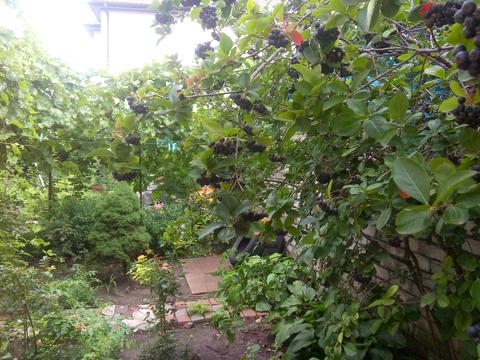 дом по адресу Одесской громады ул. (Авдеева-Черноморского)